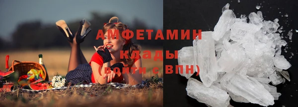 крисы Алзамай