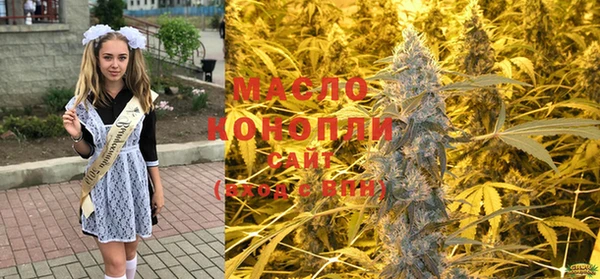 крисы Алзамай