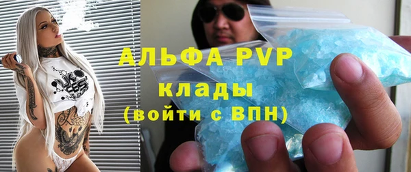 гидра Алексеевка